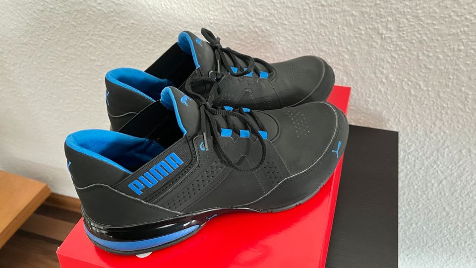 PUMA Enzin SL V2 Laufschuhe Herren Black Lapis Blue 43 in Wiesbaden