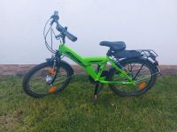 Kinderfahrrad 20 Zoll Triumph grün Hessen - Mühlheim am Main Vorschau