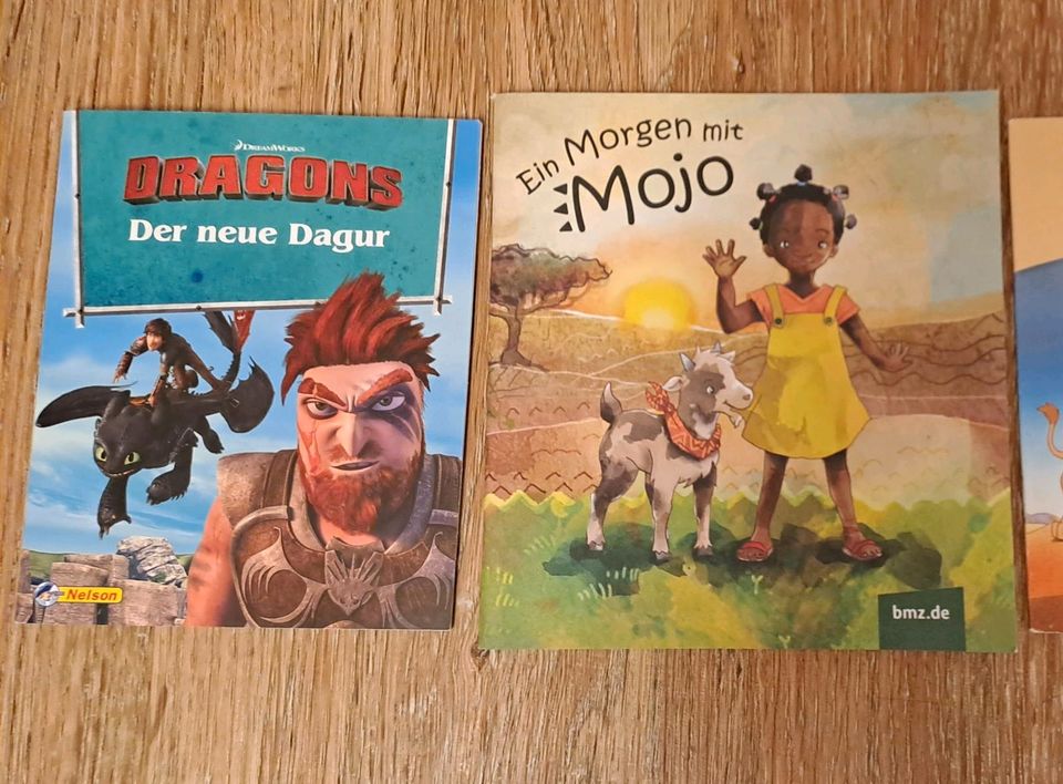 Pixie Bücher Dragons Dragur Mojo Drachenreiter in Langgöns