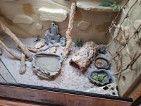 Terrarium für Reptilien Sachsen - Plauen Vorschau