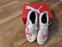 Puma Fussballschuhe Große 37 Brandenburg - Velten Vorschau