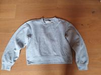 Zara Kurzpullover Farbe hellgrau Größe S Bayern - Altmannstein Vorschau