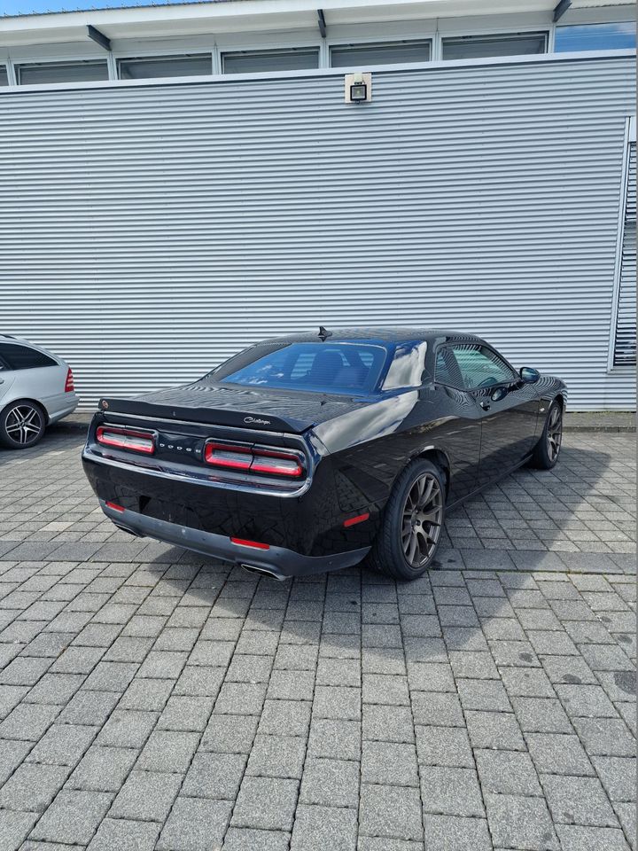 Dodge Challenger Automatik R/T Plus Scat Pack 6,4liter 492PS in Rennerod