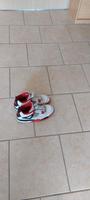 Jordan 4 Fire Red Brandenburg - Panketal Vorschau
