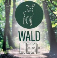 Waldbaden - Entspannung und Achtsamkeit im Wald Niedersachsen - Schwanewede Vorschau