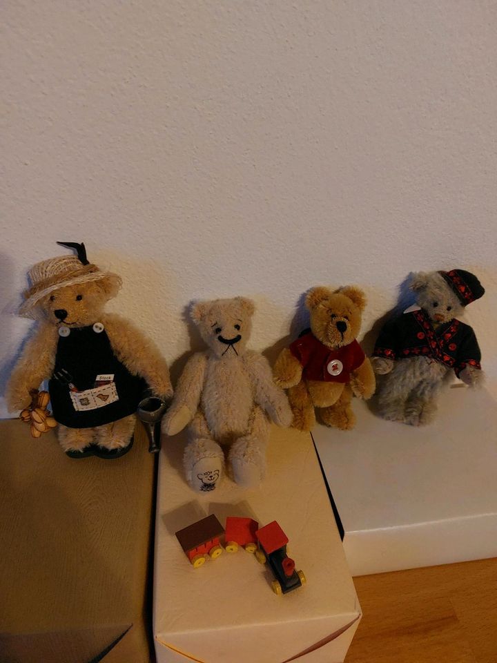 Mini Sammlerbären, Künstlerbären in Gottmadingen