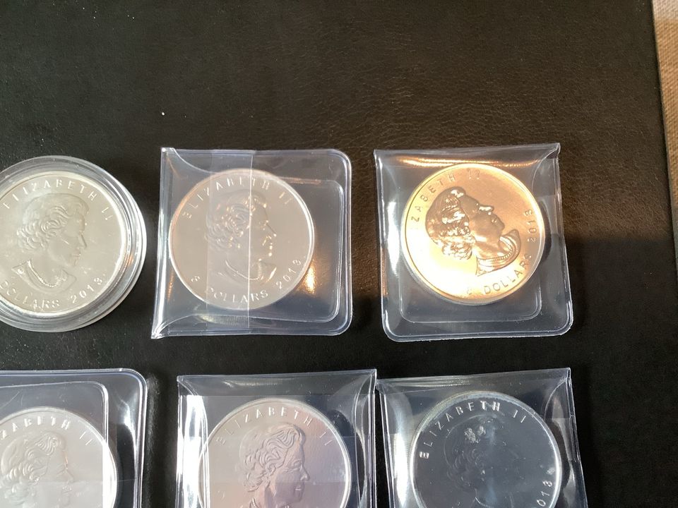 6 x 1,5 oz Canada Polarbär 999.9 Silber von 2013 Anlage Münzen in Korbach