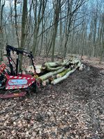 Forstrücke Arbeiten Baumfällungen Niedersachsen - Gronau (Leine) Vorschau