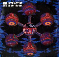 ⭐️1991 Techno Klassiker⭐️The Hypnotist - This Is My House Bayern - Graben (Lechfeld) Vorschau