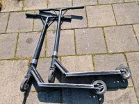 Stunt Scooter Blazer Pro Nordrhein-Westfalen - Dülmen Vorschau