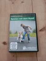 HTS HundeTeamSchule Spielen mit dem Hund Hannover - Südstadt-Bult Vorschau