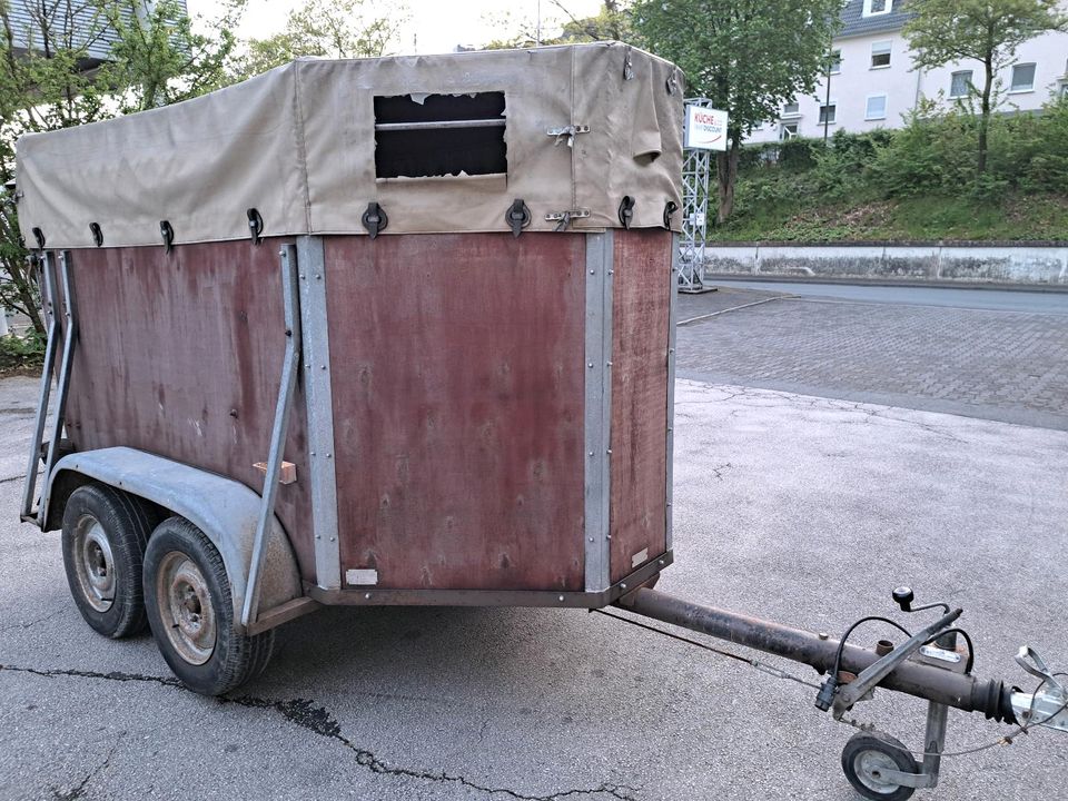 Pferdeanhänger Vieh Anhänger Rampe Plane Tandem 1500kg in Freudenberg