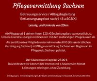 Alltagsbegleitung / Haushaltshilfe / Entlastungsleistung Leisnig Sachsen - Leisnig Vorschau