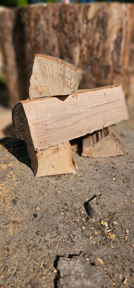 Brennholz Buche trocken in Uelzen