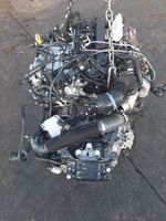 Motor AUDI VW SEAT SKODA 2.0 TDI CRL CRLB 150PS Berlin - Wilmersdorf Vorschau