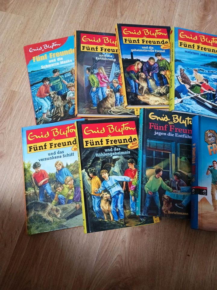 Enid Blyton Fünf Freunde Büchersammlung  12 GB in Leverkusen