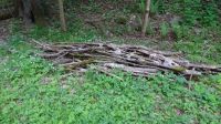 Brennholz und  trockenes Holz zum selber machen -  zu verschenken Bayern - Presseck Vorschau