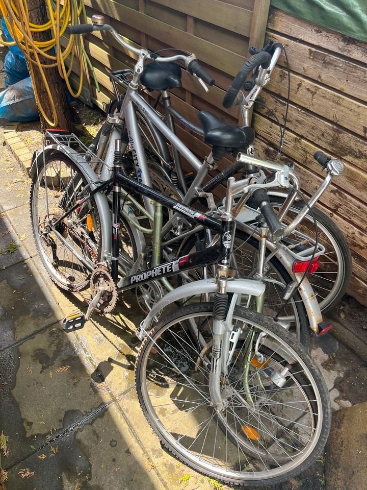 Mehrere Fahrräder 9-10 Stk. konvolut an Bastler abzugeben in Osterholz-Scharmbeck