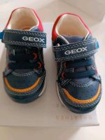 Geox Respira Sneaker neuwertig Gr. 20 Bayern - Eckersdorf Vorschau