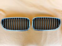 Original Nieren Kühlergrill 5er BMW F10/11 Rheinland-Pfalz - Weißenthurm   Vorschau