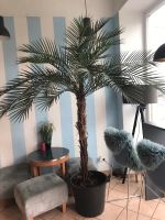 Palme künstlich ca. 2,5 m groß Berlin - Schöneberg Vorschau