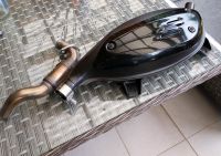 VESPA 300 Gts Super sport Standard Auspuffanlage neu Dortmund - Innenstadt-West Vorschau