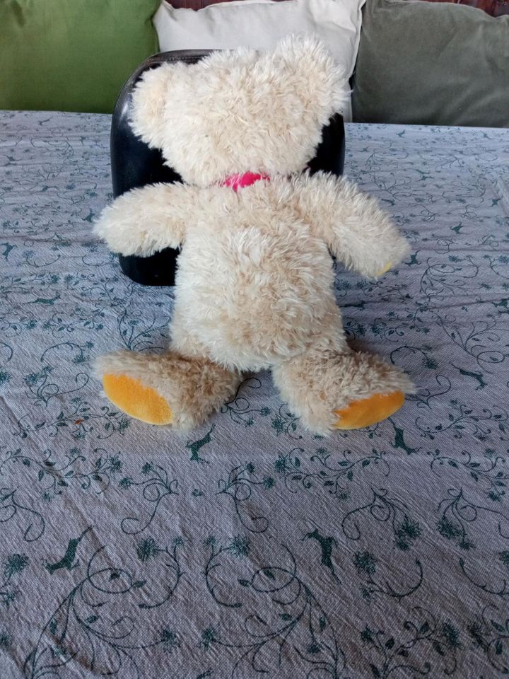 Steiff Teddybär in Feucht