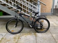 Gudereit Mountainbike 26 Zoll Altona - Hamburg Othmarschen Vorschau