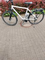 E-Bike Rixe mit 2 Akkus  mittelmotor Nordrhein-Westfalen - Herne Vorschau