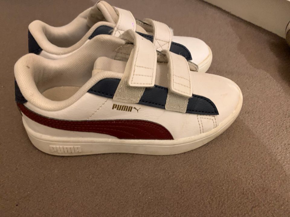 Puma Sneaker Turnschuhe in Teltow