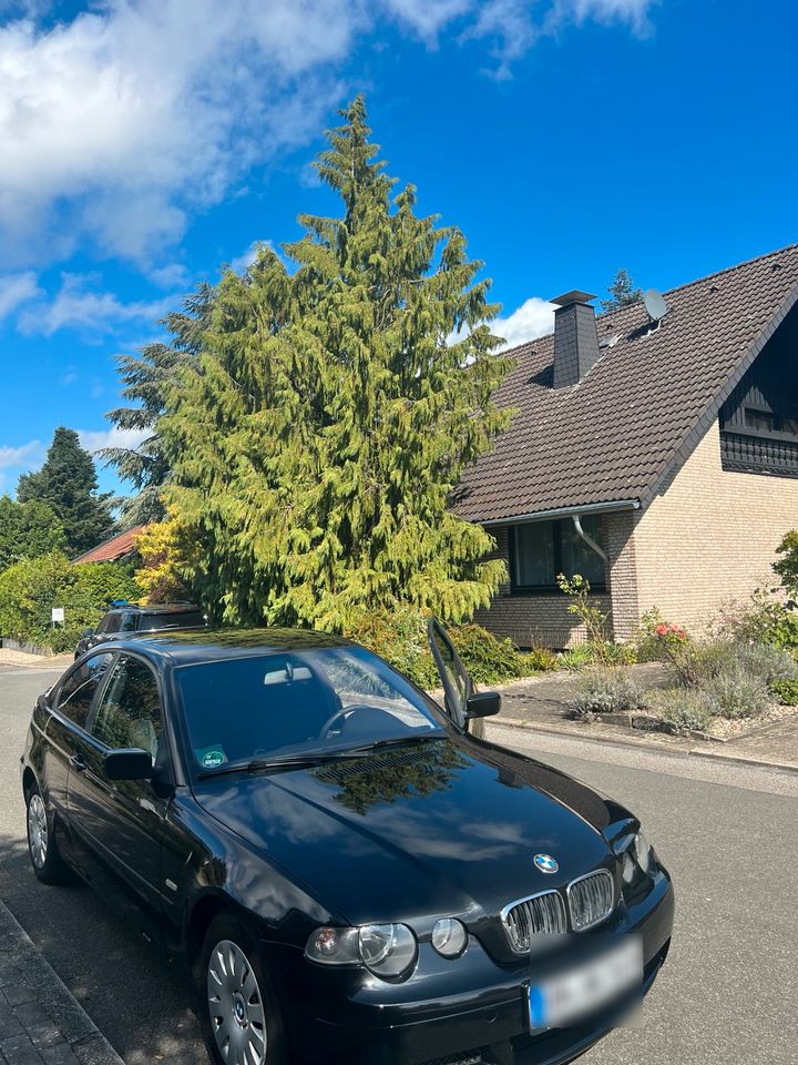 BMW 316ti Compact in Schwerte