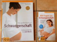 2 Bücher, 300 Fragen und das große Buch zur Schwangerschaft Brandenburg - Cottbus Vorschau