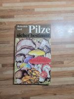 DDR Buch Pilze sicher bestimmt Mecklenburg-Vorpommern - Wismar Vorschau