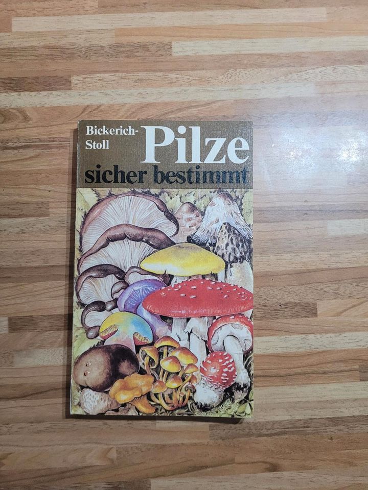 DDR Buch Pilze sicher bestimmt in Wismar