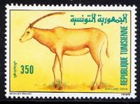 7 postfrische 350 Tunesischer Dinar Tunesien Antilope Briefmarken Bayern - Weißenburg in Bayern Vorschau