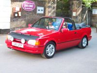 Haubenbra Steinschlagschutz Bra Ford Escort IV Bj. 1986-1990 Sachsen - Großweitzschen Vorschau