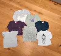 7 Oberteile, Shirt, Langarm, 74-80 (ab 1,50€/Set 13,50€) Hessen - Bad Arolsen Vorschau