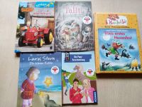 Kinderbücher im Paket Niedersachsen - Papenburg Vorschau