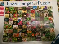 Ravensburger Puzzle Niedersachsen - Hameln Vorschau