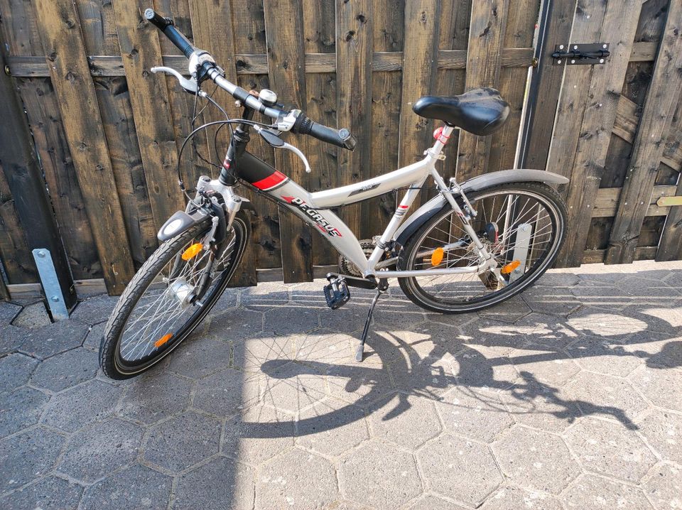 Mountainbike 26 Zoll letzter Preis 60€ in Eicklingen