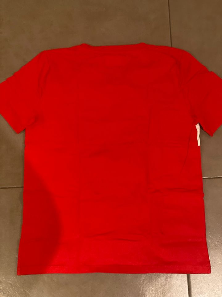 Tommy hilfiger Shirt t-Shirt neu in Rheinfelden (Baden)