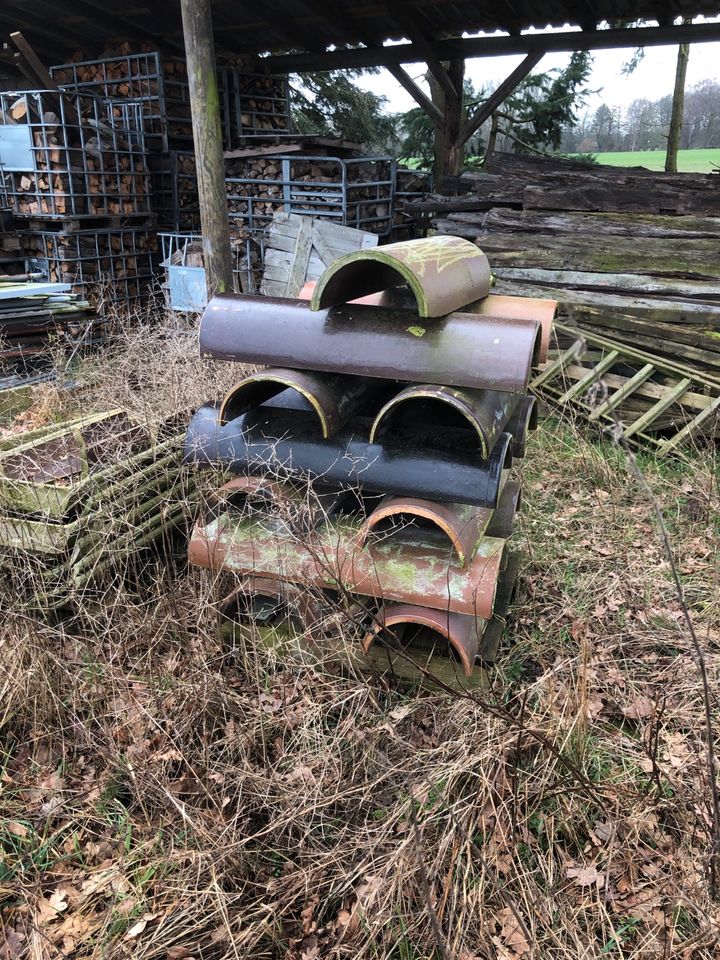 Trogschalen Schweinestall Trog Aufstallung in Greven