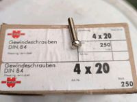 Schrauben M 4x20  DIN 84 Vernickelt, 250 Stück Rheinland-Pfalz - Kaiserslautern Vorschau