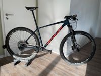 Specialized Chisel Gr. L mit Rockshox Sid, Sram NX, DTSwiss X190 Hessen - Darmstadt Vorschau