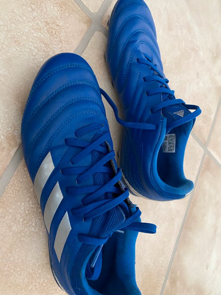 Fußballschuhe Addidas in Essen