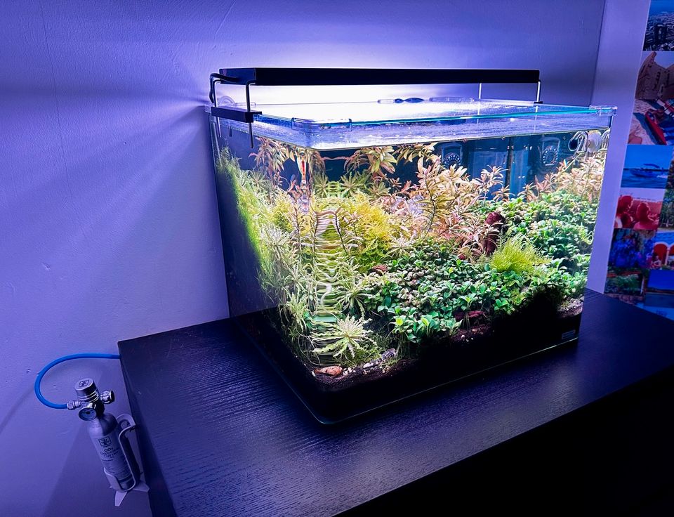 Aquarium / Nano Cube Complete / Dennerle 55l / Tropica CO2 System in Vellmar