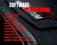 Chiptuning Leistungssteigerung Software Anpassung Nordrhein-Westfalen - Arnsberg Vorschau