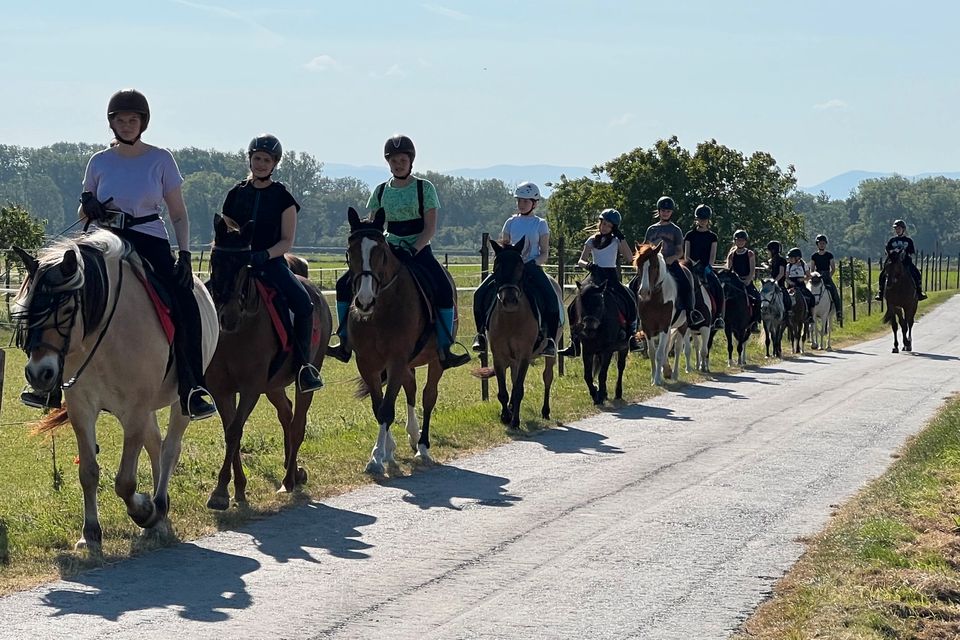 Reiterferien-Reitcamp am Kaiserstuhl in Wyhl