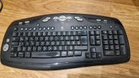 Logitech Funk Tastatur Nordrhein-Westfalen - Schloß Holte-Stukenbrock Vorschau