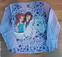 LEGO Langarmshirt Lego Friends lila Gr.128 Niedersachsen - Sassenburg Vorschau